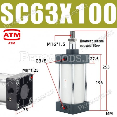 Пневмоцилиндр SC63-100