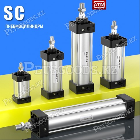 Пневмоцилиндр SC63-100
