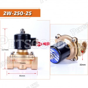 Клапан электромагнитный 2W-250-25