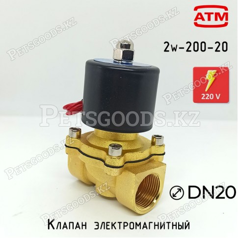 Электромагнитный клапан соленоид 2W-200-20, 220В Электромагнитный клапан соленоид 2W-200-20, 220В