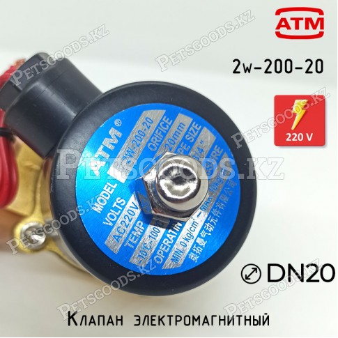 Электромагнитный клапан соленоид 2W-200-20, 220В Электромагнитный клапан соленоид 2W-200-20, 220В